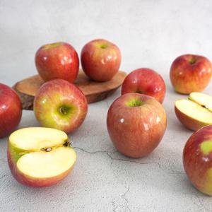 [더조은] 아리수 사과 가정용 5kg 22-24과