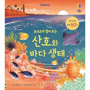 요리조리 열어 보는 산호와 바다 생태 - 요리조리 열어 보는 시리즈 (플랩북)