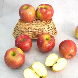 [미식한가] 아리수 사과 가정용 3kg 10-13과