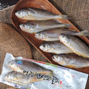 영광굴비 진공 2호(30미,2.1kg내외,19cm내외)