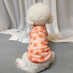 반려견 외출 스타일 사계절 실내 옷 나시 이너 패션