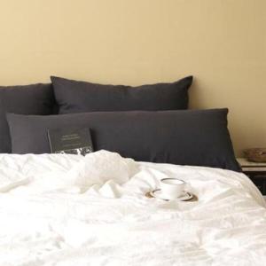 아트박스/포홈 Gift 린넨 베개.바디필로우 (세트D) (6P_솜포함)