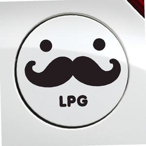 수염 LPG 자동차 주유구스티커 블랙 차량용스티커 자