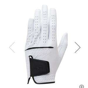 [핑]남성 한손  양피  장갑  111D1GV001_WH_YS