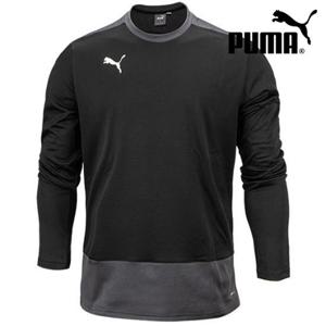 푸마맨투맨 팀골 23 트레이닝 스웨트 L/S 656478 03