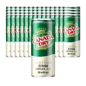 코카콜라음료 캐나다드라이 진저에일 250ml 60개