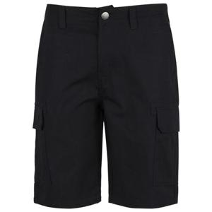 Dickies 맨즈 숏츠 0122924BLACK TP568613212