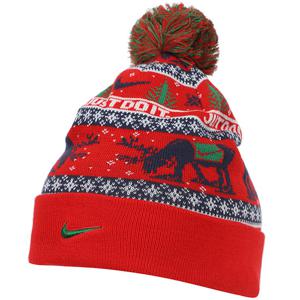 [정품] 나이키 피크 윈터 원더랜드 비니 (HV7024-633)