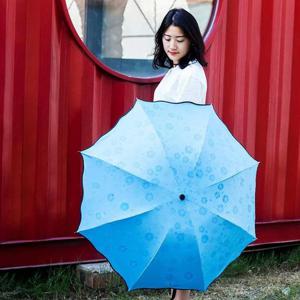 비를 맞으면 피어나는 벚꽃이 3단우산 블루