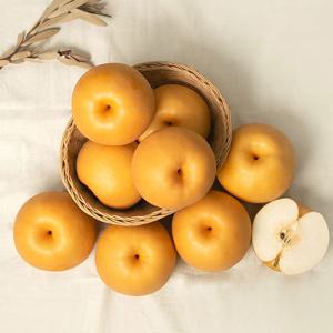 [농부마음] 가정용 햇 나주배 3kg 6-9과