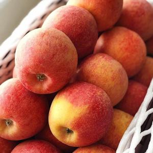 [맛군] 단단하고 아삭한 국내산 가정용 엔비사과 중소과 3kg