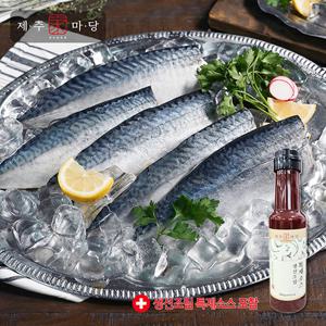 (방송에서만)[제주가마당] 가시제거고등어 100g x 20팩+생선조림소스 1병