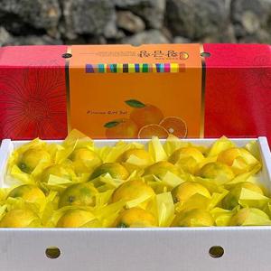 제주 황금향 고급선물세트 4.5kg 중과