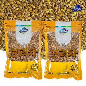 [영월농협] 보리차 500g x 2봉