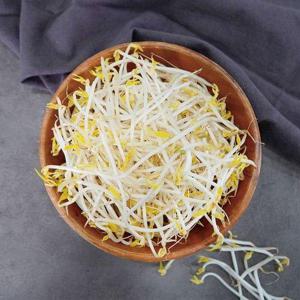 갤러리아_[농부마음]천연암반수로 키운 숙주나물 2kg