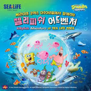 [슈퍼트립] 서울 삼성 씨라이프 코엑스아쿠아리움 특가 프로모션, 이용기간 최대 1월 31일까지, 주중&주말 공통