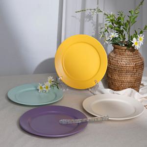 홈카페 파스텔 도넛 원형 접시 L (20cm)