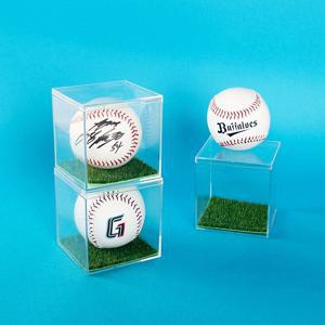 잔디 야구공 케이스 싸인볼 보관함