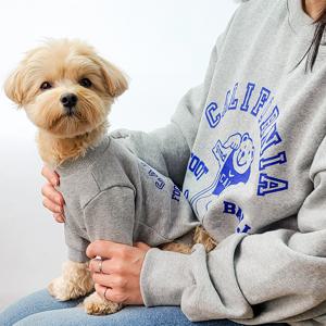 반려동물 강아지커플룩 캘리포니아 스웨트셔츠 견주용 Free size, 2 colors