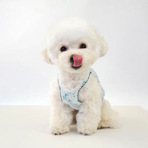 강아지커플룩 바람꽃 강아지 나시 S-2XL, 4 colors