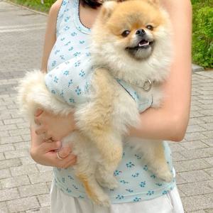 강아지커플룩 바람꽃 견주 나시 Free size, 1 color