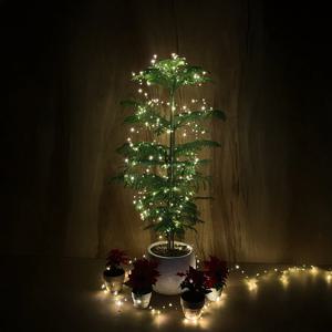 아라우카리아 크리스마스 트리 개업 집들이 축하 화분 거실 인테리어 사무실 카페 당일배송