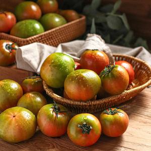 초고당도 대저 단짠단짠 토마토 부산 산지직송 로얄과 1kg 2kg