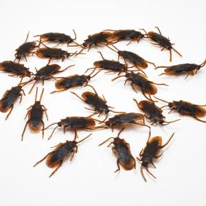 웃긴선물 만우절 할로윈 파티 리얼 바퀴벌레 소품 모형 장식