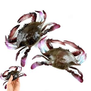 리얼한 꽃게 모형 수산물 횟집 음식점 전시 인테리어 촬영 소품 장식