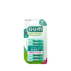 검 치과 부드러운 일회용 치간칫솔 코스트코 소프트픽 민트 컴포트플렉스 (80p) 2개