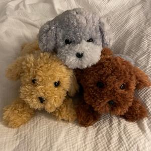 무릎인형_강아지 토이푸들 S사이즈(히자완꼬) 3종