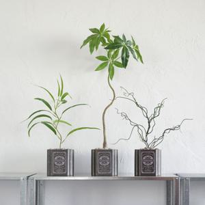 파키라 조화 인테리어 화분 작은방꾸미기