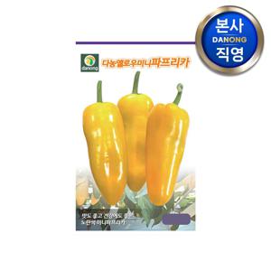 다농 옐로우 미니 파프리카 씨앗 10립 . 작은 노랑색 야채 씨 종자.