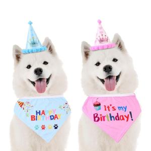 반려동물 생일파티 고깔콘 모자 + 턱받이 세트