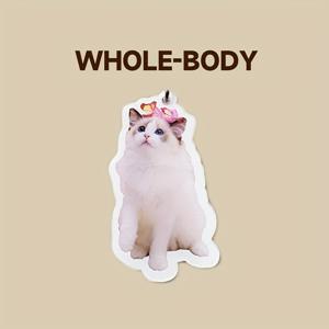 TEMU 개인화된 애완동물 키체인, 양면 아크릴 사진 펜던트, 개를 위한 개인화된 추모, 내구성 있는 PMMA 키링 액세서리, 애완동물 사랑자들을 위한 이상적인 선물