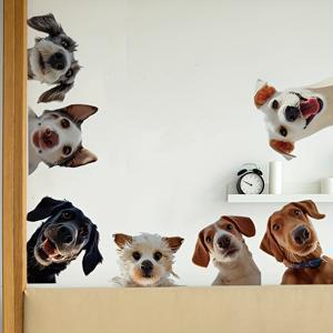TEMU [일상적인 편안함] 장난스러운 개 벽 데칼 - 자가 접착제, 제거 가능한 PVC 스티커와 만화 동물 디자인을 위한 거실, 침실,玄關, 또는 연구실 - 고전적인 홈 데코 액센트, 벽 스티커