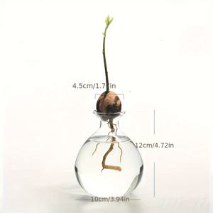 TEMU 1개 창의적인 와이드탑 디자인 씨앗 발아 화병, 식물 및 꽃 유리 묘목 포트 - 가드닝 애호가를 위한 완벽한 키트