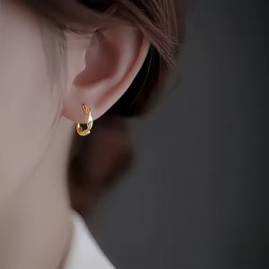 TEMU AIVEO 저자극성 18K 금도금 스테인리스 스틸 후프 귀걸이 여성 & 남성용 - 후프, 변색 방지 주얼리, 민감한 연한 베이지, 우아한 일상 & 귀걸이, 크리스마스, 생일 선물, 사계절 착용