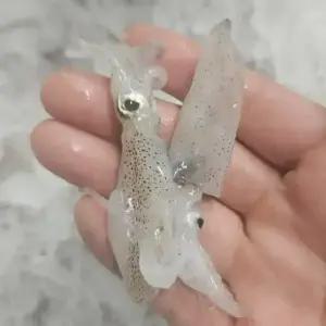 싱싱햇 국산 생물 횟감 호래기 꼴뚜기 500g