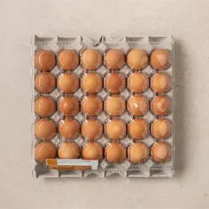 남도계란 30개입 (특란, 1800g)