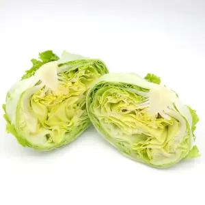 의령농산 건강 채소 국내산 양상추 2통