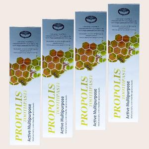 호주 프로폴리스 치약 네이쳐스탑 110g 4개