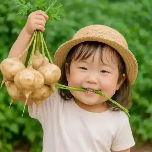 땡큐베리농장 프리미엄 히카마 멕시코감자 얌빈 저당 5kg