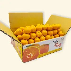 제주 고당도 노지감귤 대과 10kg 가정용 과일선물 푸른농원