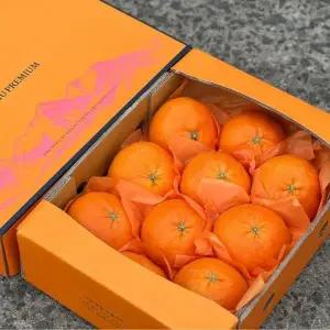 [G]제주돌담 선물용 천혜향 2.5kg내외 중과(11-14과 내외)