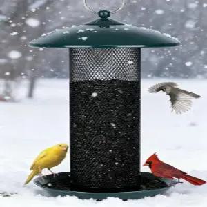 야외용 Gtongoko 핀치 버드 피더 2.5LB 용량의 다람쥐 방지 금속 튜브 엉겅퀴 및 니제르 씨앗 매달기 그린