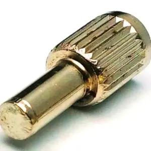 골드 선반 다보 5x11mm 10개 리폼 진열장 홀더 수납용품 (WFJ6CFQ)