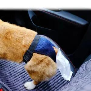 외출 산책 강아지 팬티 봉투 똥주머니 배설물 대변 수거