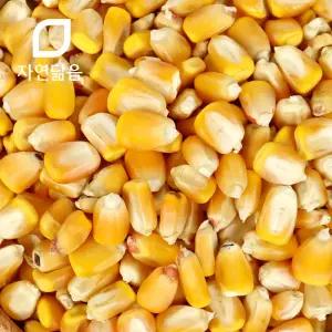자연닮음 국산 노란 말린 옥수수 알 1kg 옥수수차