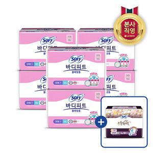 바디피트 볼록맞춤 대형 16P x 6팩 + 증정